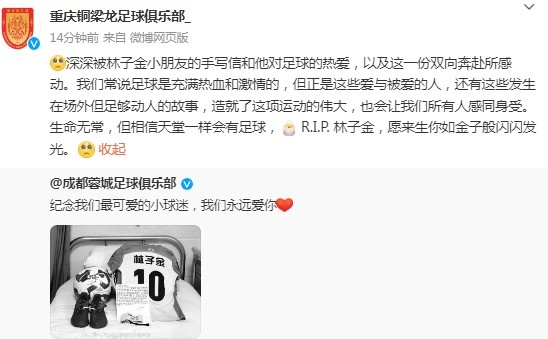  重慶銅梁龍悼念去世小球迷：愿來生你如金子般閃閃發光